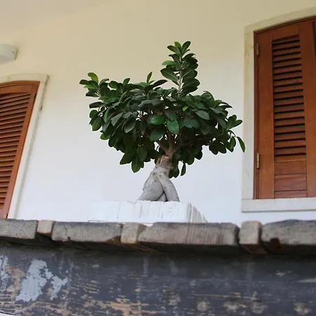 Le Terrazze Balice 3* Bitonto