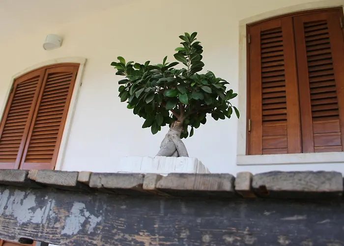 Le Terrazze Balice 3* ビトント